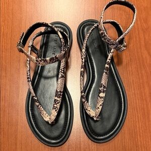 Everlane Snakeskin Sandals with Black Base